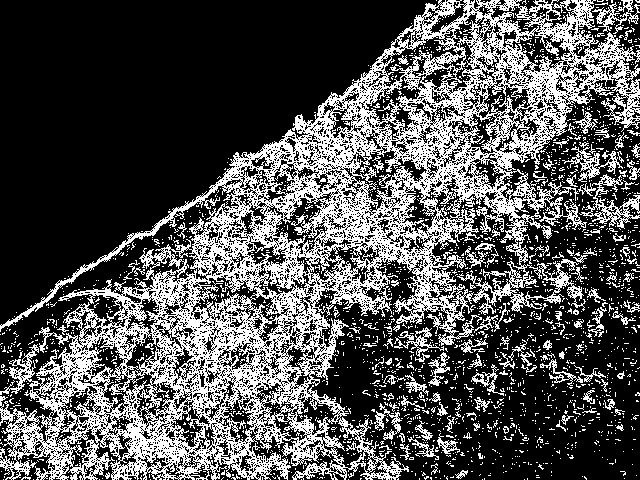 The same micrograph after the finite-difference edge detector